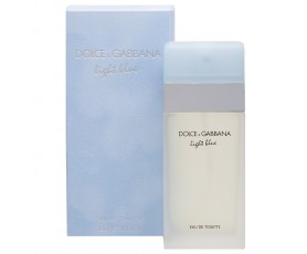 LIGHT BLUE DOLCE GABBANA TYPE ESSENCE PERFUME